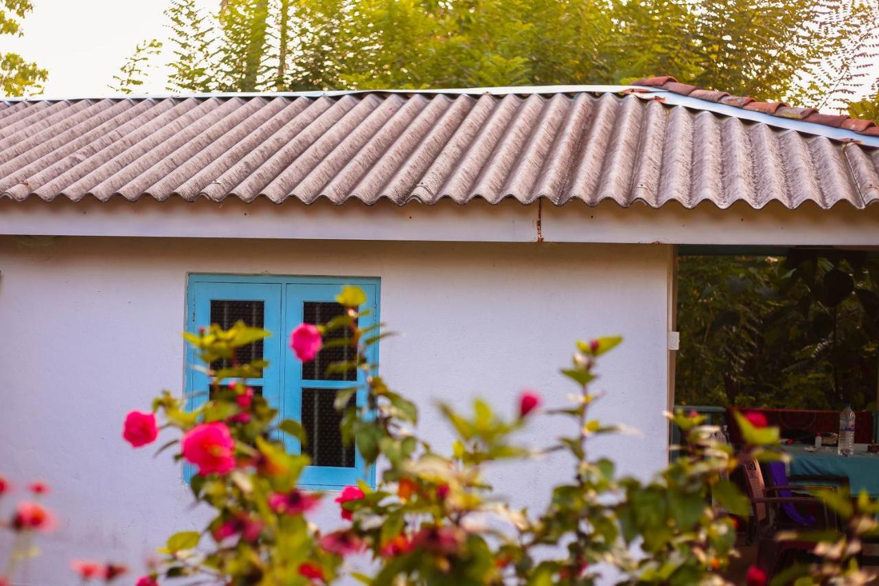Tehan Homestay Dikwella Exterior foto